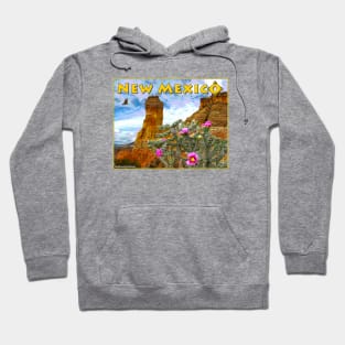 New Mexico Cholla Hoodie